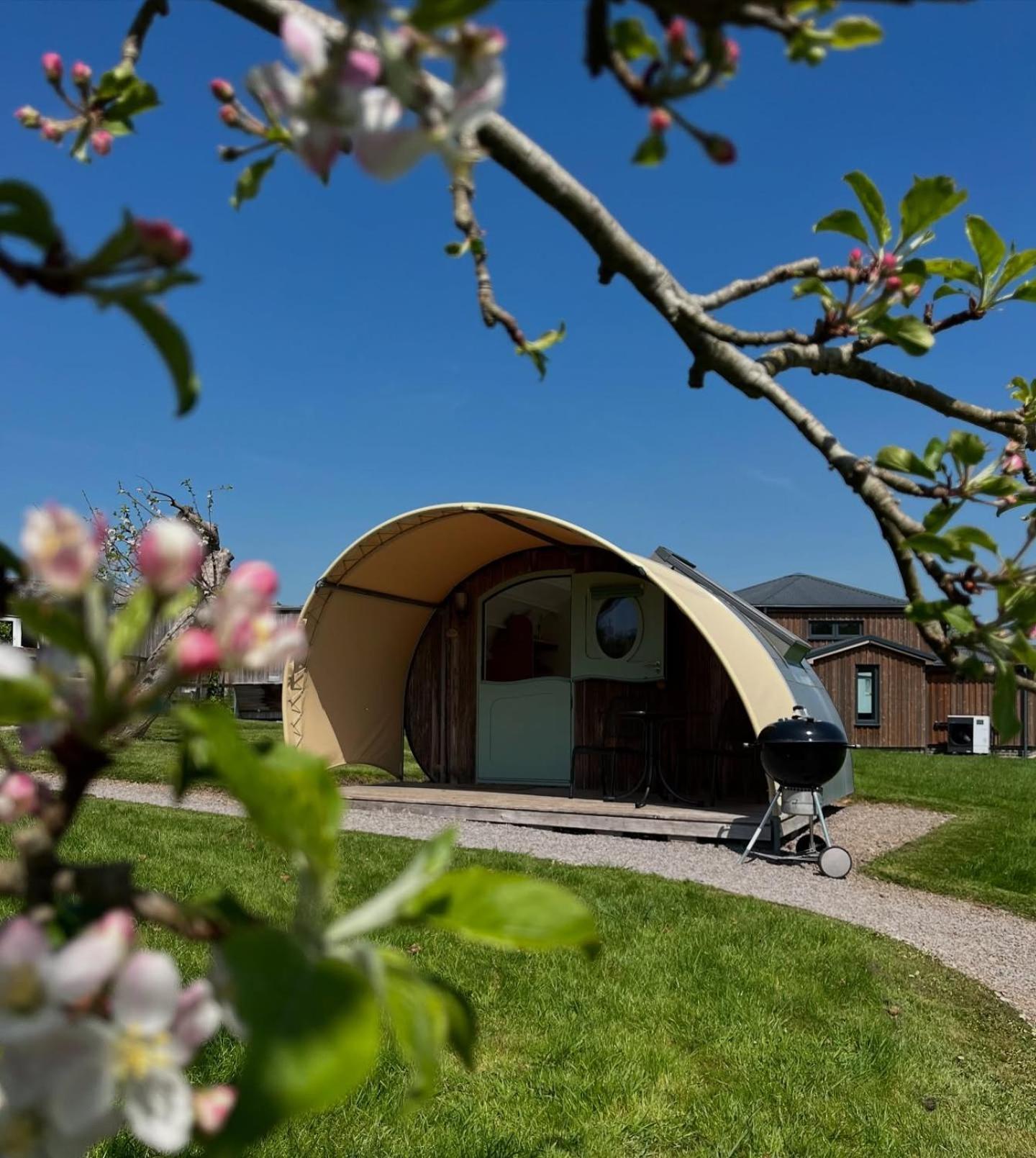 Middlewick Holiday Cottages Glastonbury Eksteriør bilde