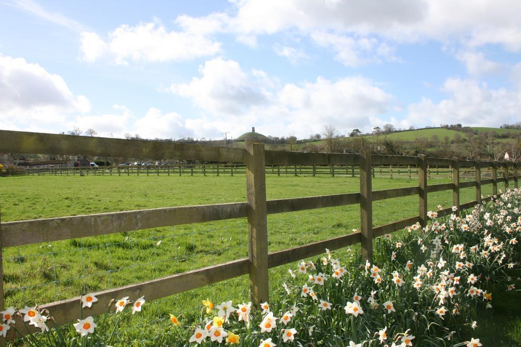 Middlewick Holiday Cottages Glastonbury Eksteriør bilde