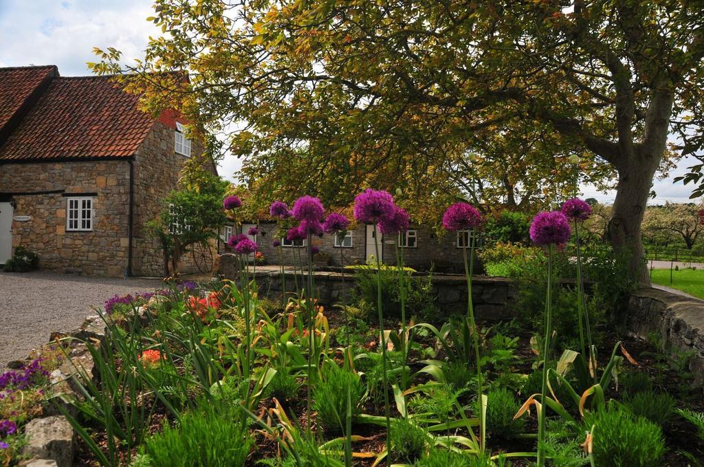 Middlewick Holiday Cottages Glastonbury Eksteriør bilde